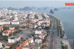 [Video] Quảng Ninh làm sạch, chuẩn hóa gần 70% dữ liệu đất đai 