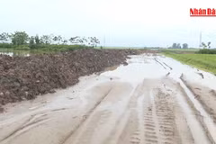[Video] Mưa lớn gây gián đoạn thi công một số công trình trọng điểm tại Hưng Yên