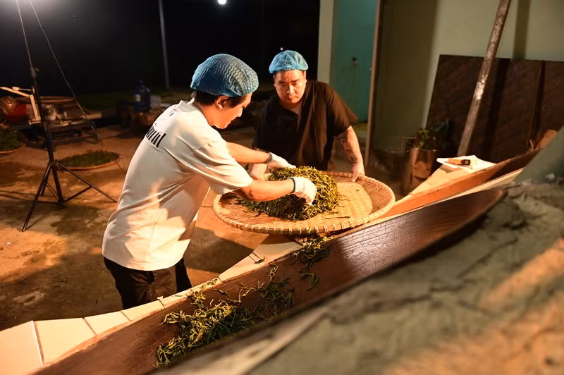 Công ty Cổ phần Thương mại và Dịch vụ xuất nhập khẩu Phương Nam Group với khát vọng bảo tồn hàng nghìn cây trà cổ thụ