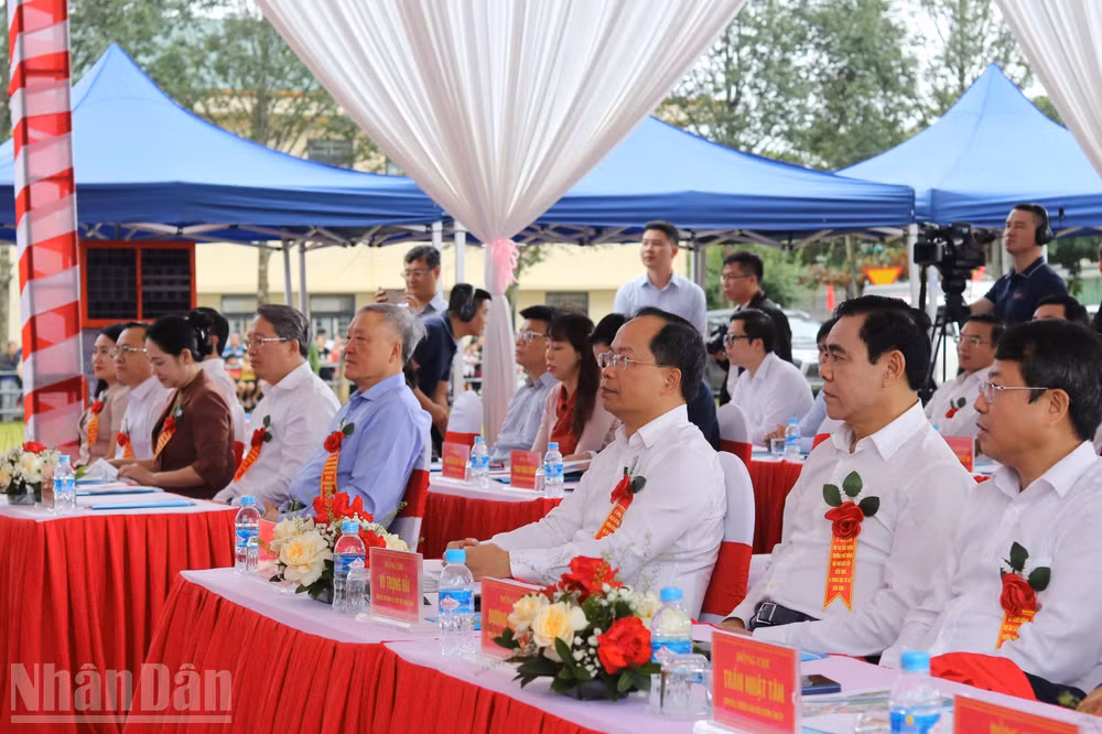 ndo_bl_img-4910.jpg