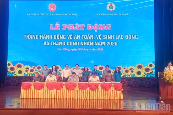 Đại diện các doanh nghiệp ký cam kết bảo đảm an toàn vệ sinh lao động.