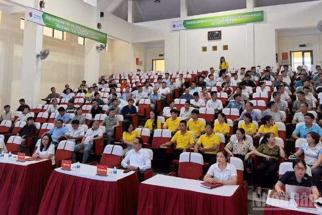 Các đại biểu dự hội nghị.