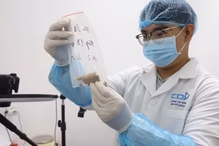 Cán bộ Trung tâm Giám định ADN kiểm tra phân loại mẫu xương khó trước khi đưa vào quy trình tự gen thế hệ mới NGS-SNP. (Ảnh: VIỆN HÀN LÂM KHOA HỌC VÀ CÔNG NGHỆ VIỆT NAM)