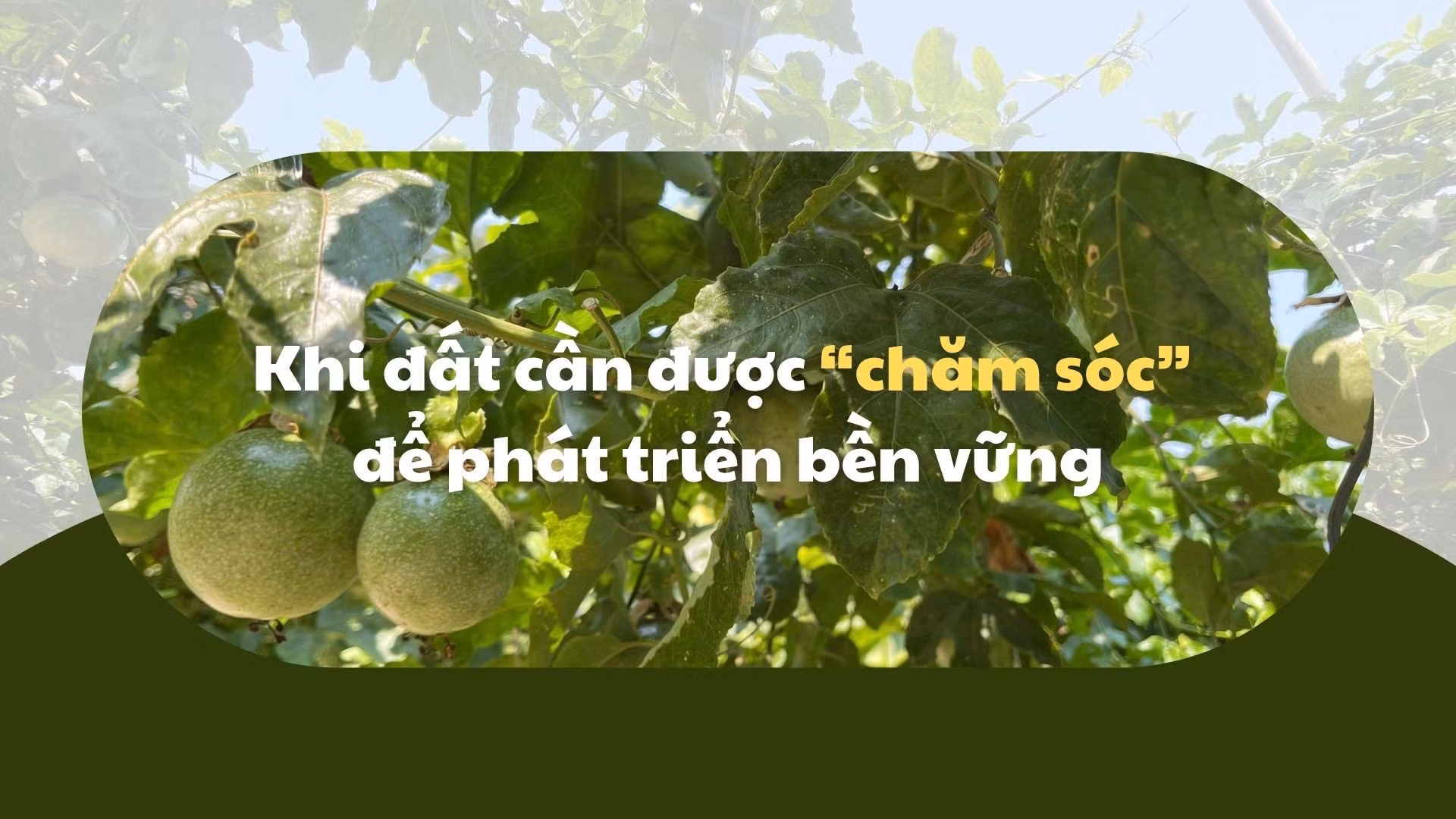 Khi đất cần được “chăm sóc” để phát triển bền vững