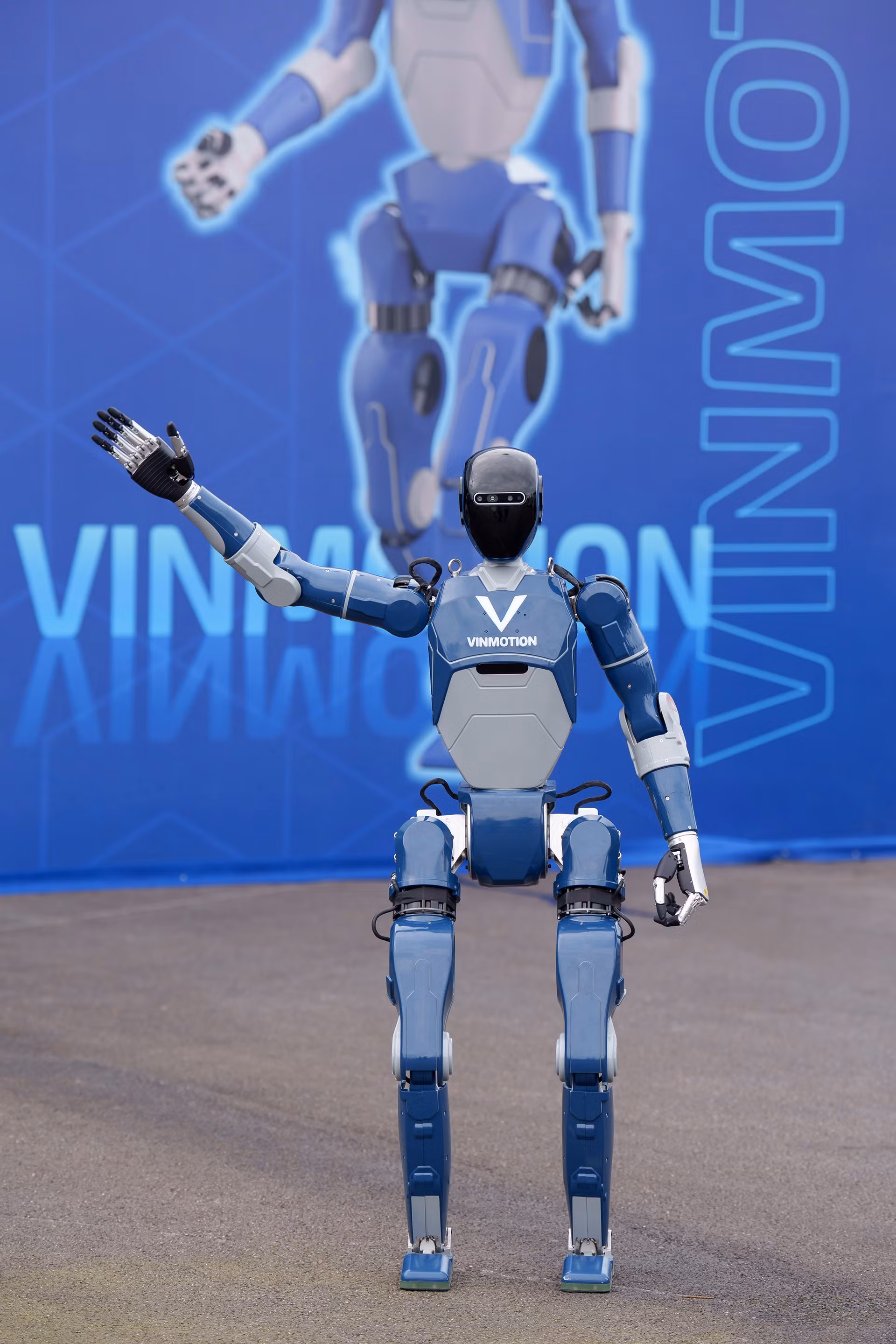 vinmotion-2.jpg