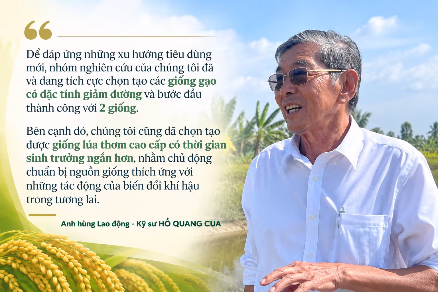 vietnamese-rice-innovation-portrait.png