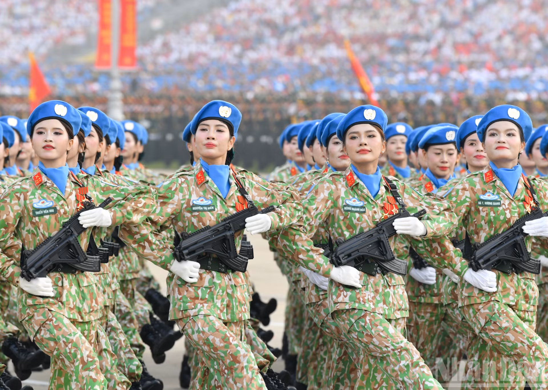 ndo_br_dsc-7306-2.jpg