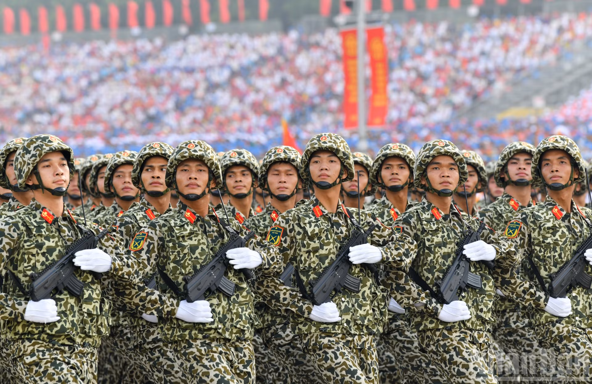 ndo_br_dsc-7390-2.jpg