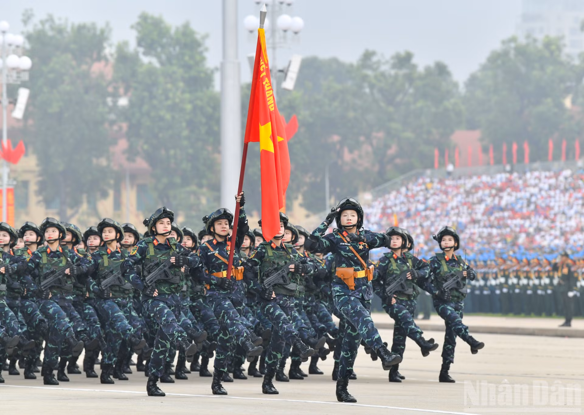 ndo_br_dsc-7405-2.jpg