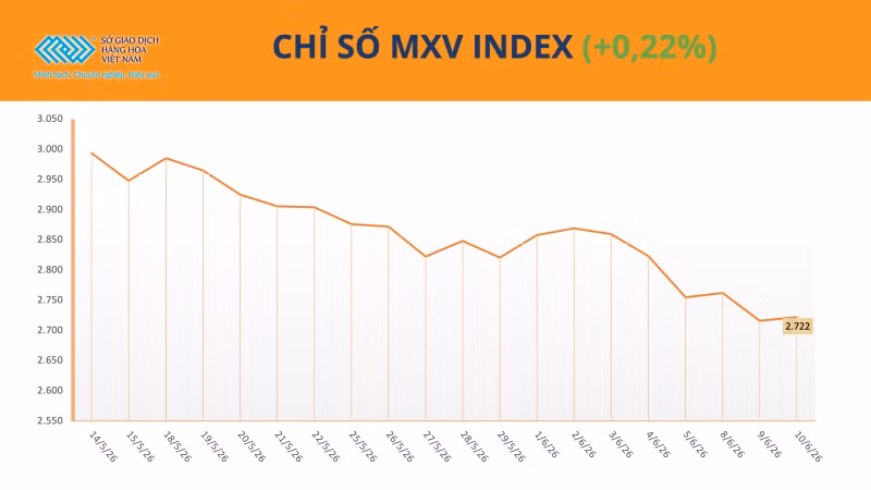 Chỉ số MXV-Index.