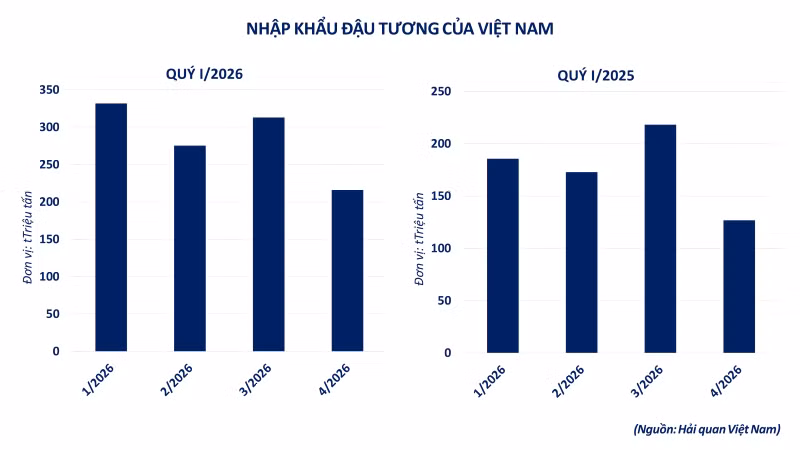 anh-4-nhap-khau-dau-tuong-cua-viet-nam.png