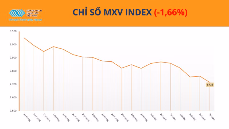 Chỉ số MXV-Index.