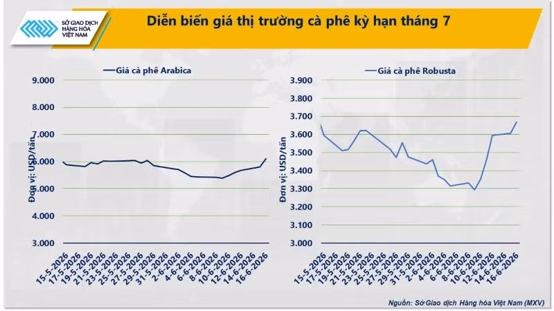 dien-bien-gia-ca-phe-ky-han-thang-7-2.jpg