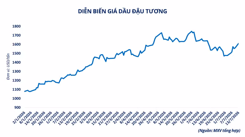 anh-3-dien-bien-gia-dau-dau-tuong.png