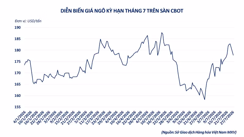 anh-4-dien-bien-gia-ngo-cbot-ky-han-thang-7-2.png