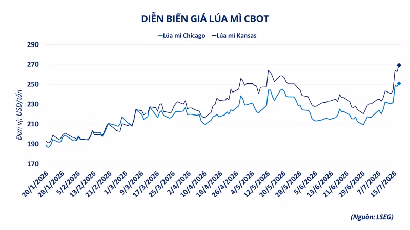 anh-3-dien-bien-gia-lua-mi-cbot.png