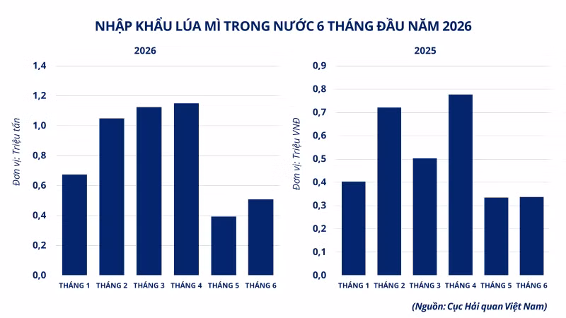 anh-5-nhap-khau-lua-mi-trong-nuoc-6-thang-dau-nam-2026.png