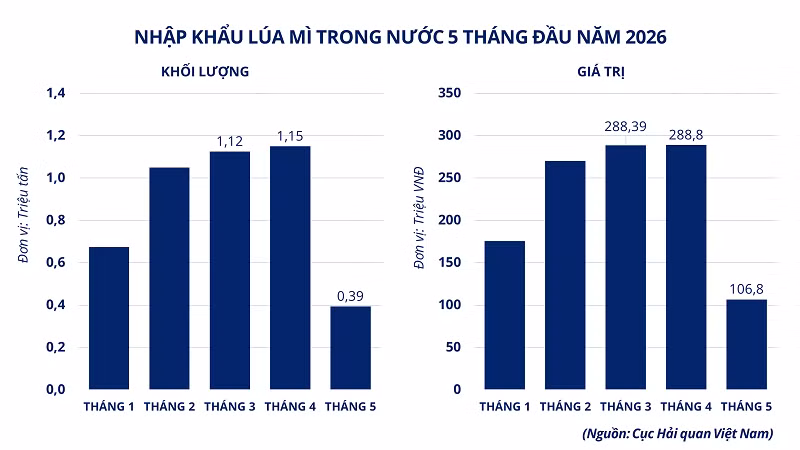 nhap-khau-lua-mi-trong-nuoc-5-thang-dau-nam-2026.png