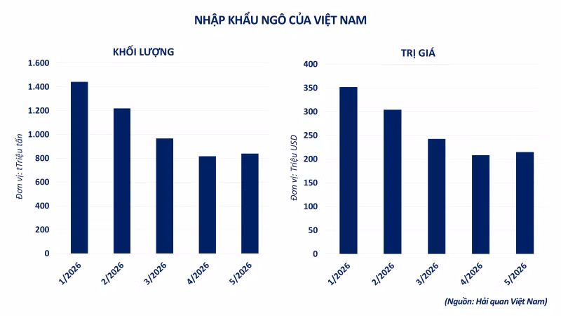 nhap-khau-ngo-cua-viet-nam-2.png
