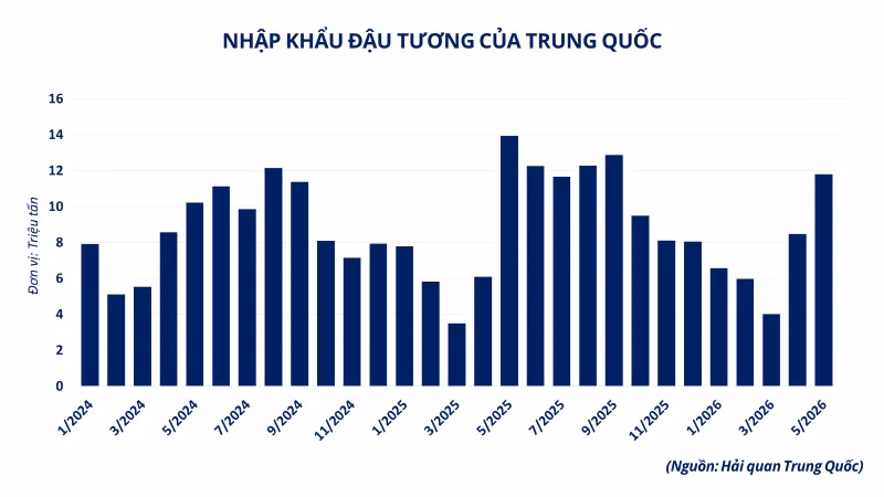 nhap-khau-dau-tuong-cua-trung-quoc-2.png