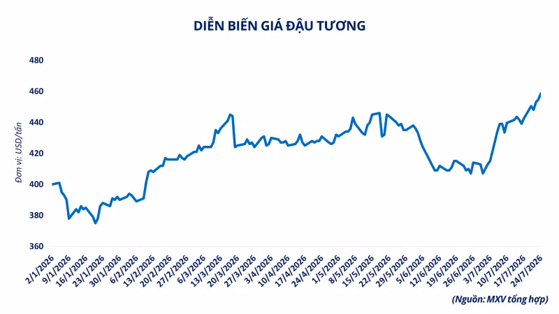 anh-3-dien-bien-gia-dau-tuong.png