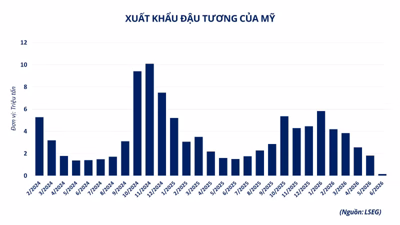 xuat-khau-dau-tuong-cua-my-2.png