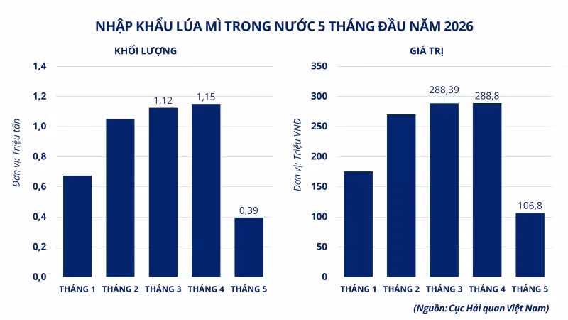 anh-3-nhap-khau-lua-mi-trong-nuoc-5-thang-dau-nam-2026.png