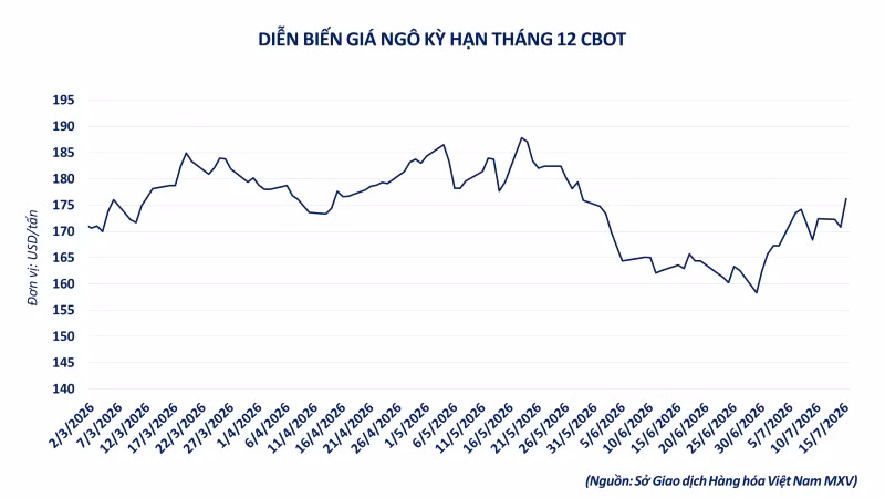 anh-5-dien-bien-gia-ngo-ky-han.png