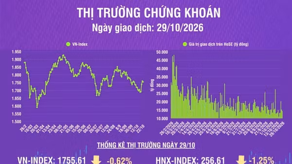 [Infographic] Chứng khoán ngày 29/10: VN-Index giảm hơn 11 điểm, khối ngoại vẫn bán ròng