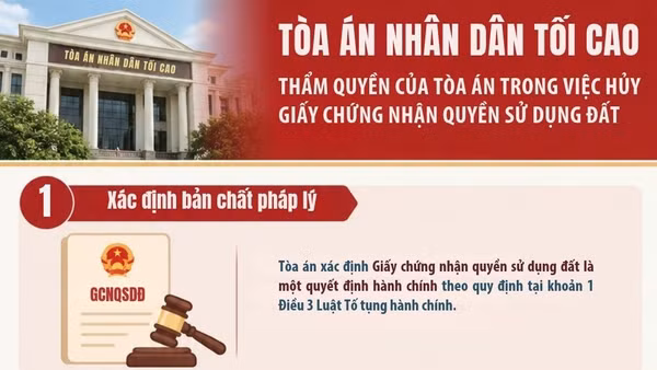 [Infographic] Thẩm quyền của Tòa án trong việc hủy Giấy chứng nhận quyền sử dụng đất