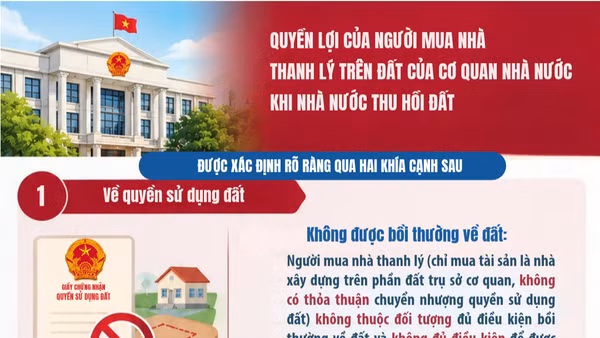 [Infographic] Quyền lợi của người mua nhà thanh lý trên đất của cơ quan nhà nước khi nhà nước thu hồi đất