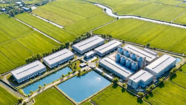 Phối cảnh tổng thể nhà máy chế biến gạo chất lượng cao của Tập đoàn ThaiBinh Seed.