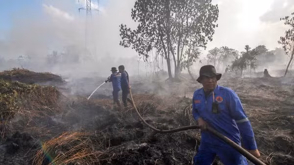 Lính cứu hỏa nỗ lực dập lửa cháy rừng tại Pekanbaru, tỉnh Riau, Indonesia trong mùa khô năm 2025. (Ảnh: THX/TTXVN)