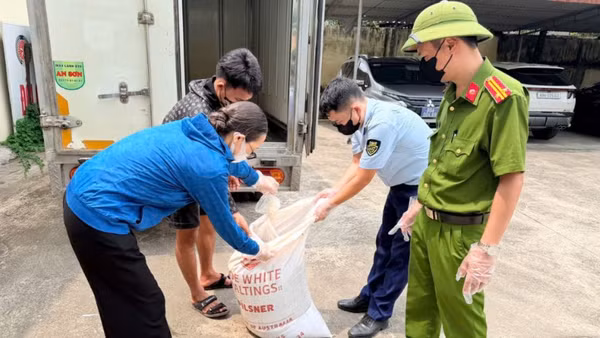 Số lòng lợn phát hiện đang phân hủy, bốc mùi hôi thối. (Ảnh: Chi cục Quản lý thị trường tỉnh Hưng Yên cung cấp)