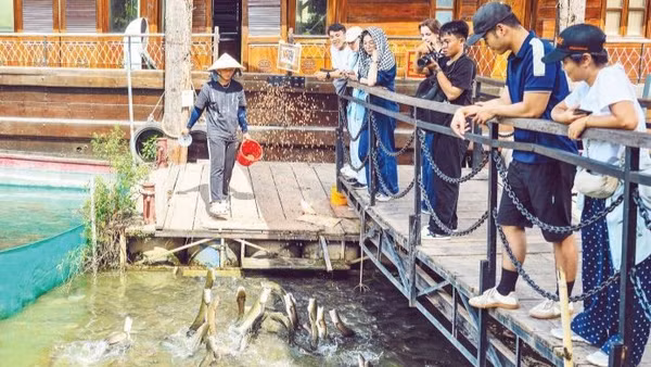 Du khách trải nghiệm trình diễn cá lóc “bay” ở nhà vườn Thành Tâm, Cồn Sơn. (Ảnh: MỸ HÀ)
