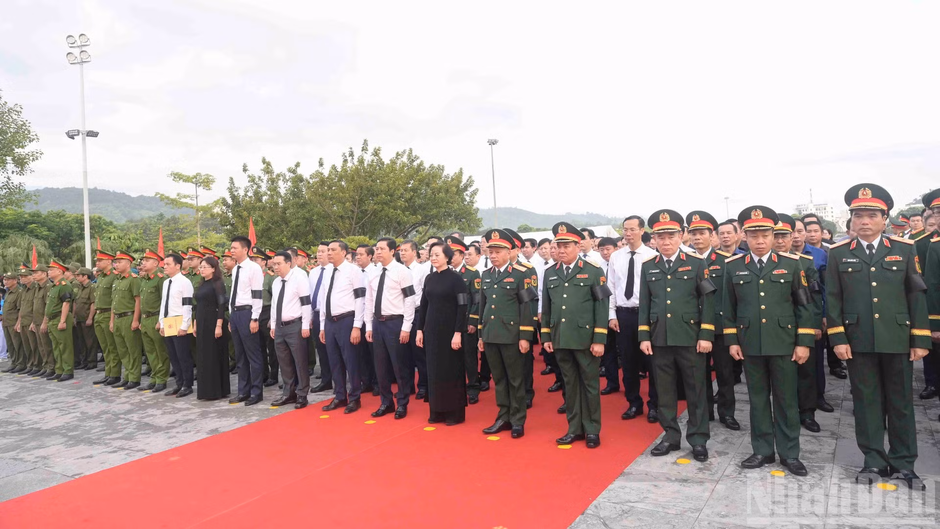 ndo_br_2-2341.jpg