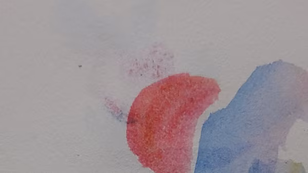 Cảm xúc