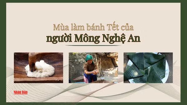 Mùa làm bánh Tết của người Mông Nghệ An