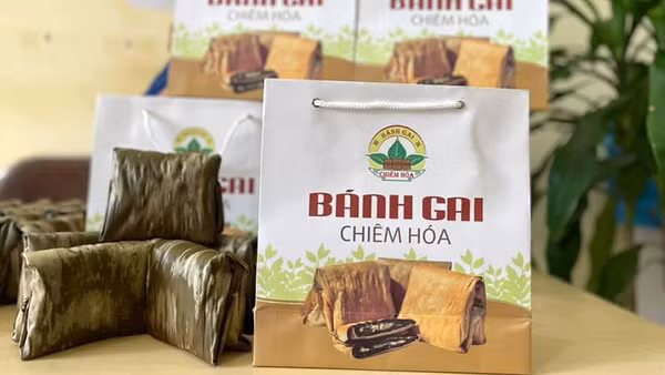Bánh gai Chiêm Hóa, sản phẩm OCOP 4 sao của Tuyên Quang. (Ảnh: OCOP Tuyên Quang)