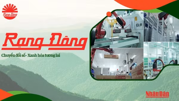 Rạng Đông: Chuyển Đổi Số, Xanh Hóa Tương Lai 