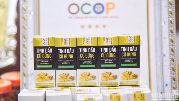 Tinh dầu củ gừng, Hà Nội, sản phẩm OCOP 4 sao. (Ảnh: NHẬT QUANG)