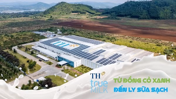 TH true MILK với mô hình "từ đồng cỏ đến ly sữa sạch"