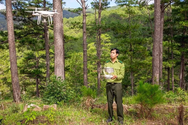 Cán bộ kiểm lâm sử dụng drone để giám sát diễn biến rừng. (Ảnh: Cục Lâm nghiệp và Kiểm lâm)