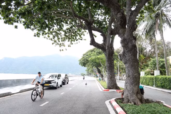 Đặc khu Côn Đảo được định hướng phát triển hiện đại theo hướng bảo tồn không gian xanh. 