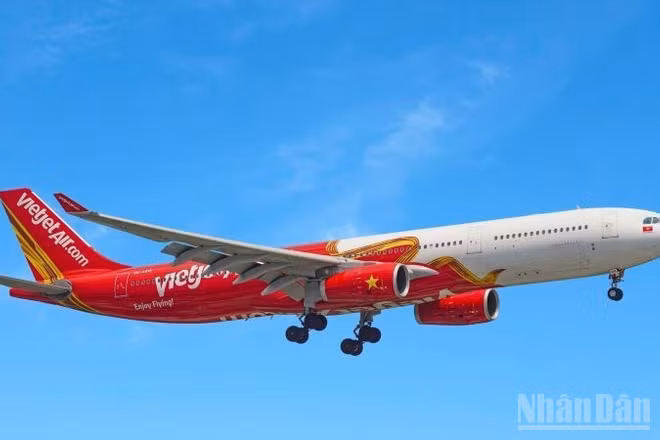Từ ngày 3/12/2025, Vietjet phục vụ bay Côn Đảo với 1 chuyến khứ hồi/ngày từ Hà Nội và 1 chuyến khứ hồi mỗi ngày từ Thành phố Hồ Chí Minh.