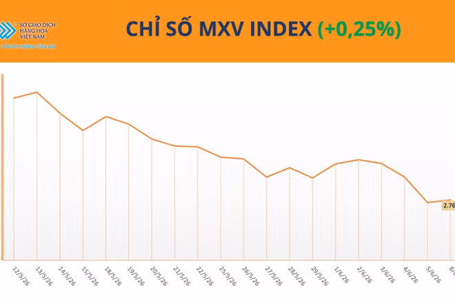 Chỉ số MXV-Index.