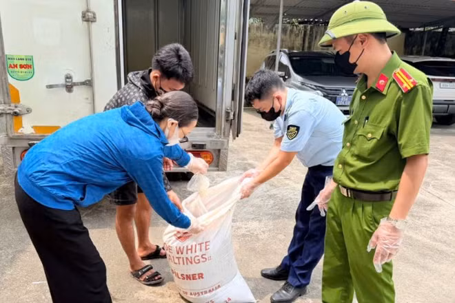 Số lòng lợn phát hiện đang phân hủy, bốc mùi hôi thối. (Ảnh: Chi cục Quản lý thị trường tỉnh Hưng Yên cung cấp)