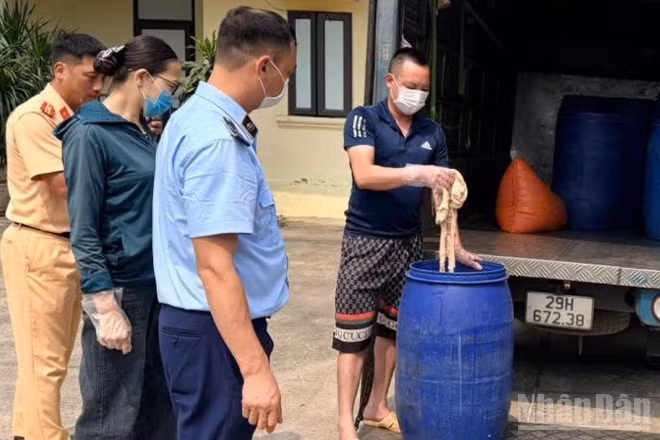 Hàng nghìn kg lòng lợn ôi thiu, bốc mùi, thậm chí đang phân hủy được lực lượng Quản lý thị trường và các cơ quan liên quan kịp thời phát hiện, xử lý.
