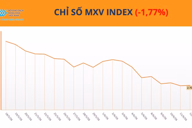 Chỉ số MXV-Index.