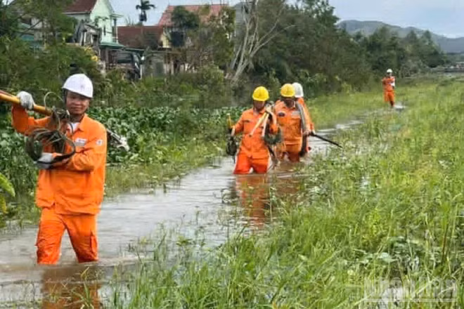 Lực lượng xung kích Công ty Điện lực Hưng Yên kéo dây, dựng cột điện băng qua các cánh đồng ngập nước ở Nghệ An.